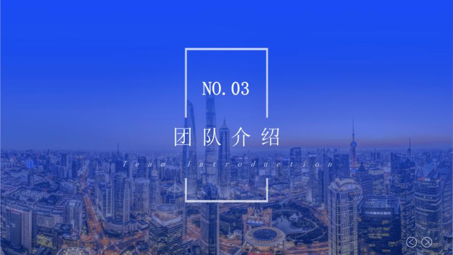中冠咨询-招标代理(政府采购)服务介绍